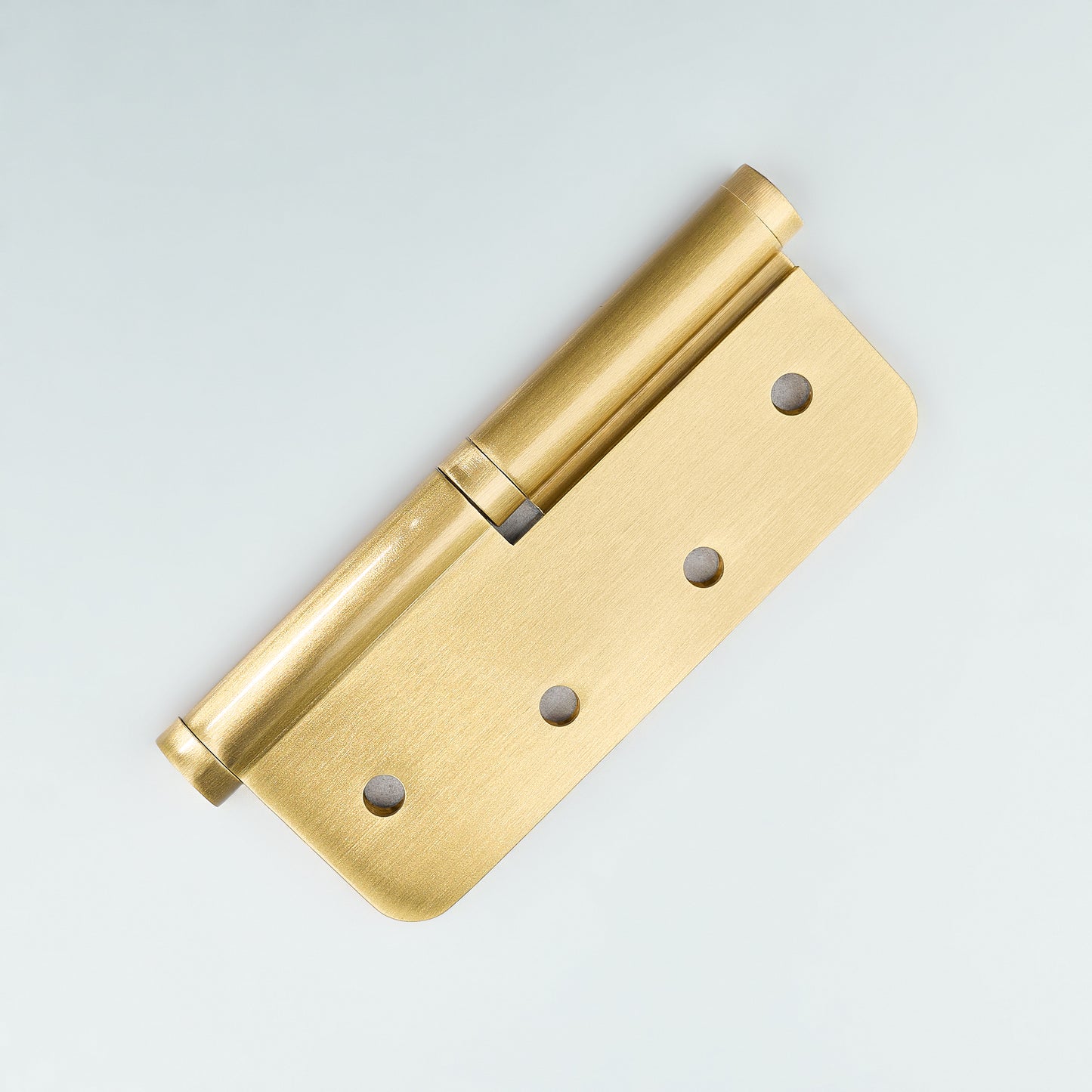 Apollo Lift-Off Door Hinge