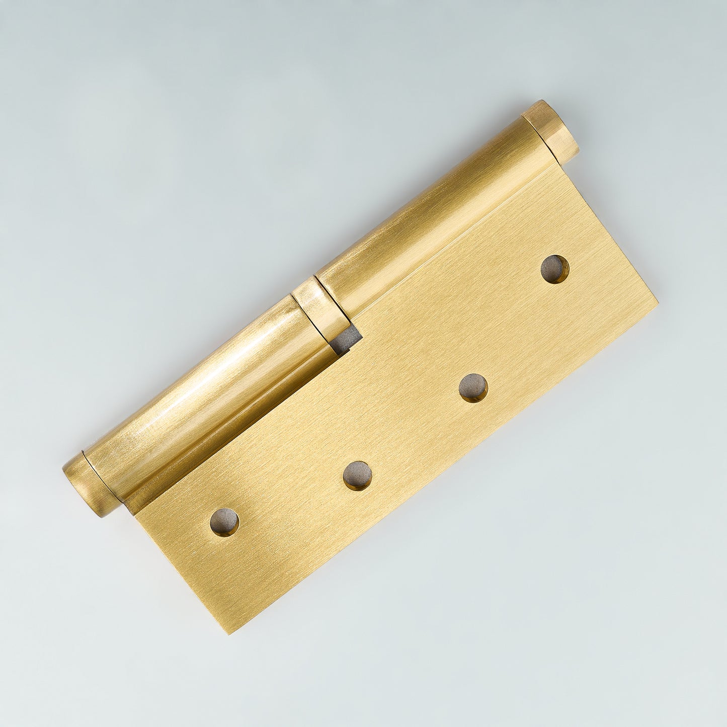Apollo Lift-Off Door Hinge