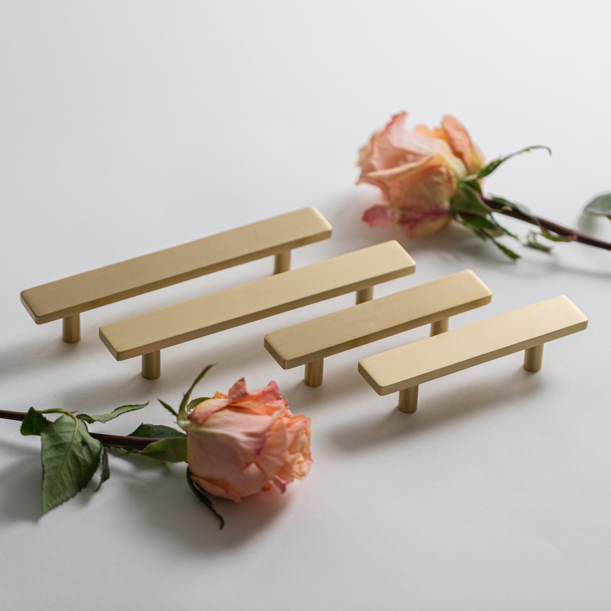 PhotoMay242024_41104PM