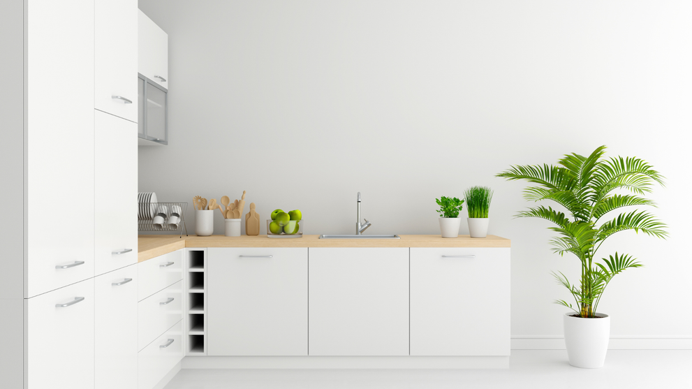 Modern Minimalist Kitchen With White Cabinetry, Light Wood Countertops, Polished Chrome Cabinet Handles