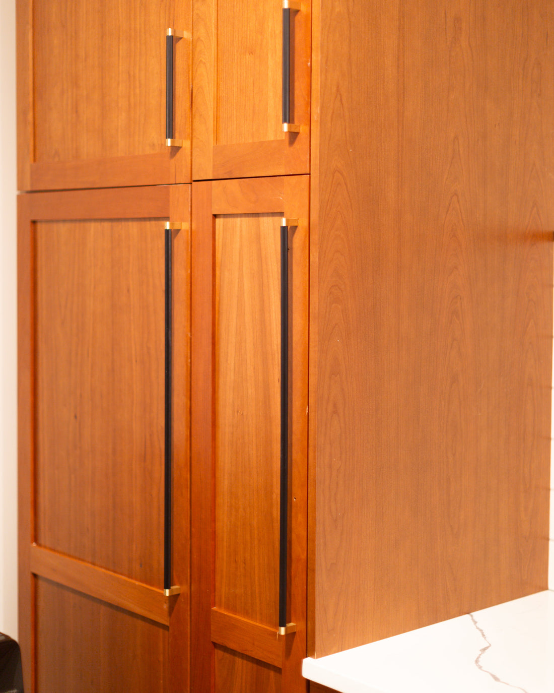 Vertical Bold black and brass cabinet pulls on tall framed wood doors