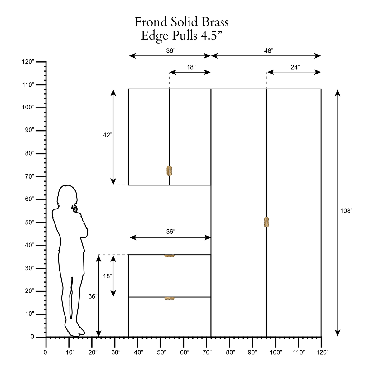 Frond scale drawing 2