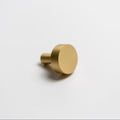 Satin Brass (matte lacquer)