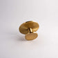 solid brass kitchen cabinet knob | satin brass brass knob for transitional cabinets | dresser knob